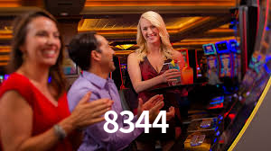 8344.com
